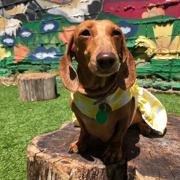 THANK YOU ❤️ - Picture 14 of 14